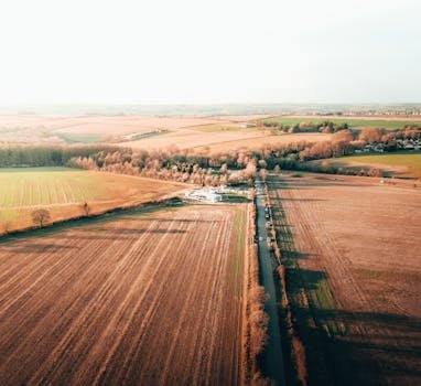 pexels photo 15887176