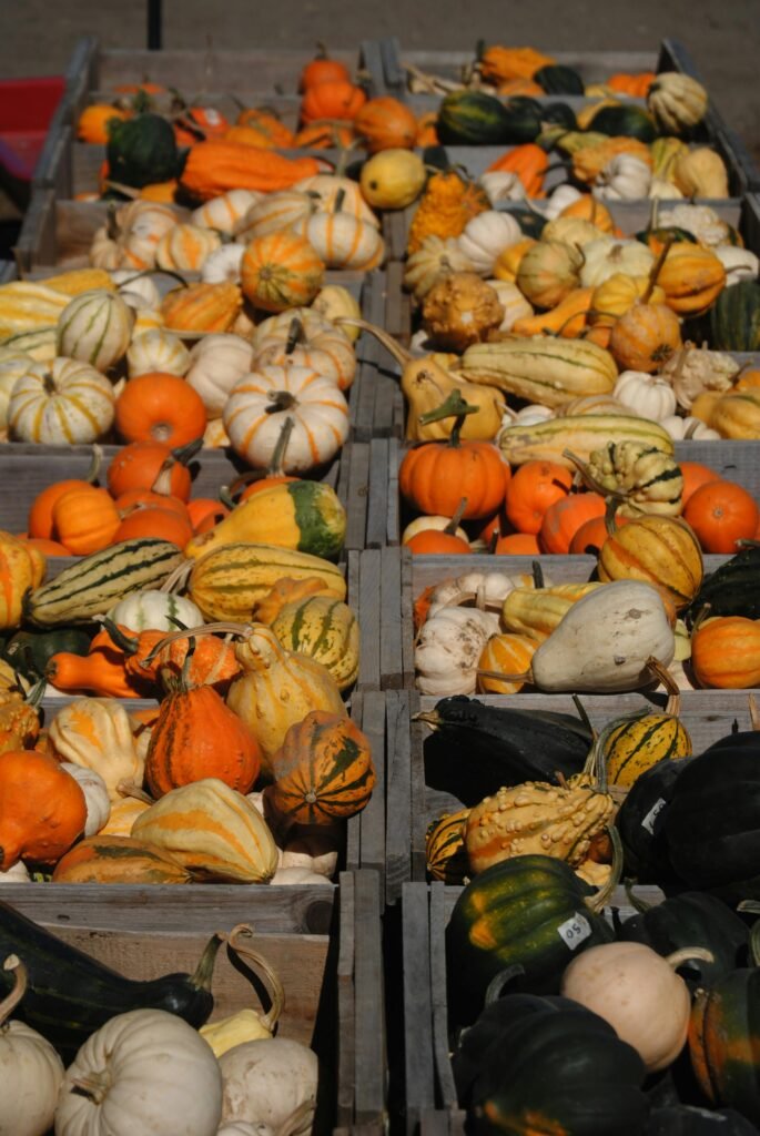 A vibrant collection of diverse pumpkins in wooden crates, perfect for autumn and harvest themes.